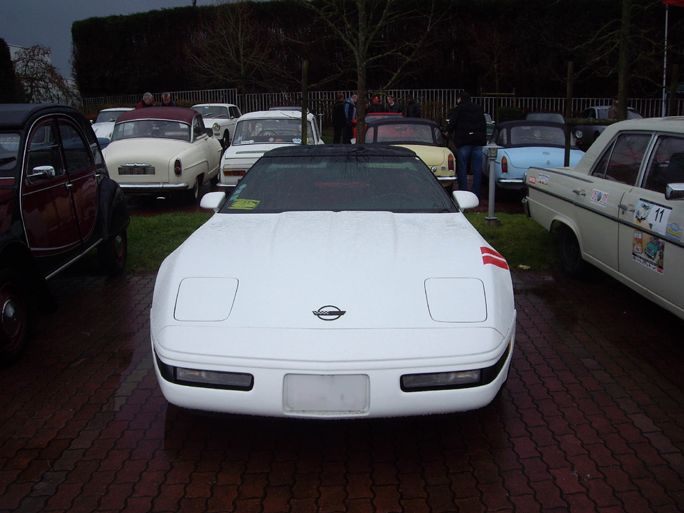 IMGP1061